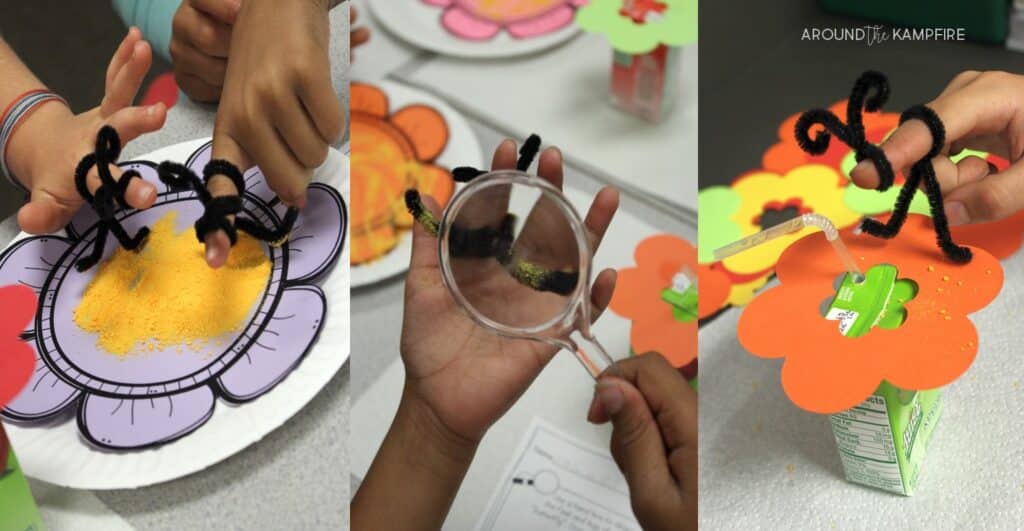 Butterfly life cycle learning labs-Pollination simulation science experiment during a study of butterflies.