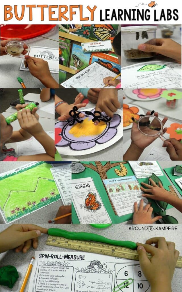 See how we used butterfly learning labs to integrate literacy, writing, and math into our science experiments during a life cycle of butterflies unit with our 1st, 2nd, and 3rd grade students. Butterfly activities | butterfly math