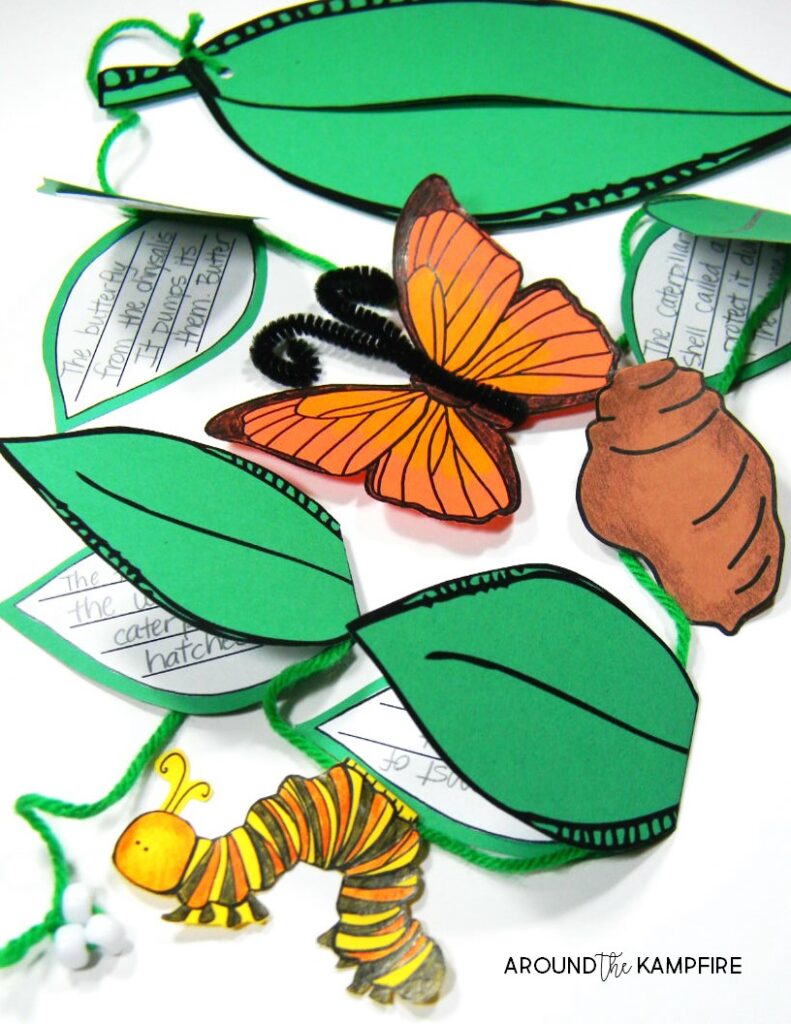 Butterfly life cycle Activities- Life cycle on a string with mini books for students to write about each stage of the life cycle of butterflies.