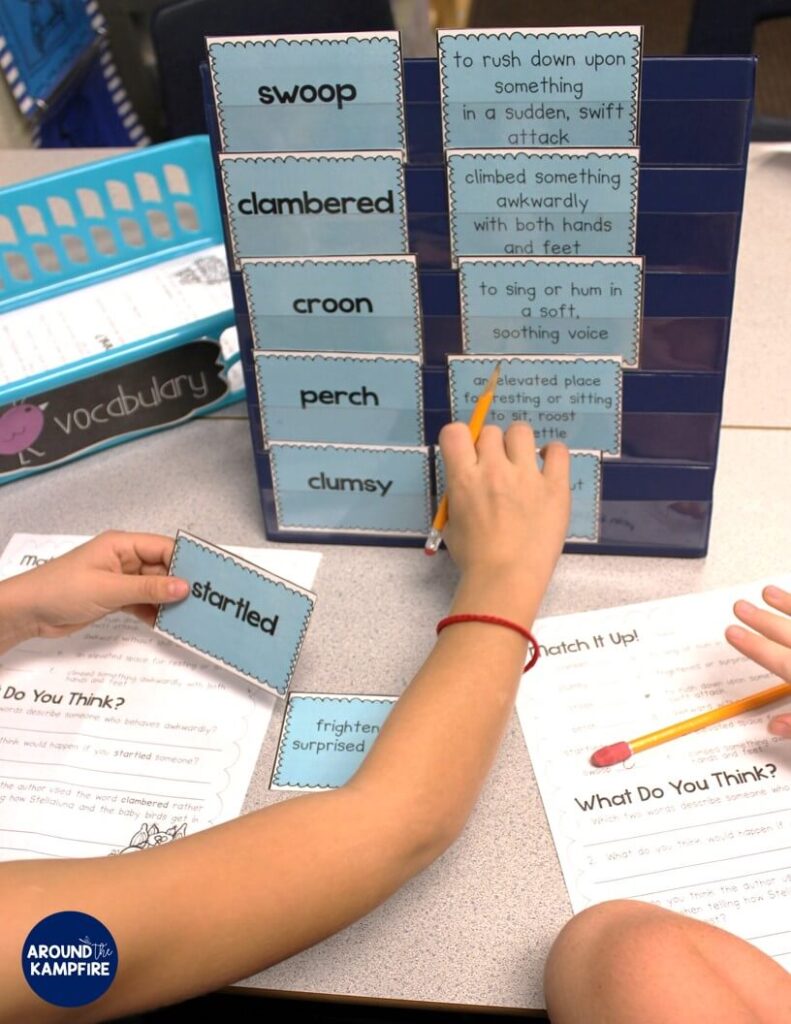 Stellaluna teaching activities- Reinforcing vocabulary during literacy centers.