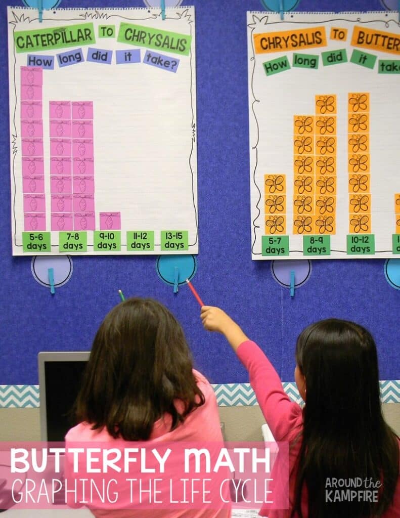 Butterfly life cycle activities with Butterfly Math- Graphing the life cycle