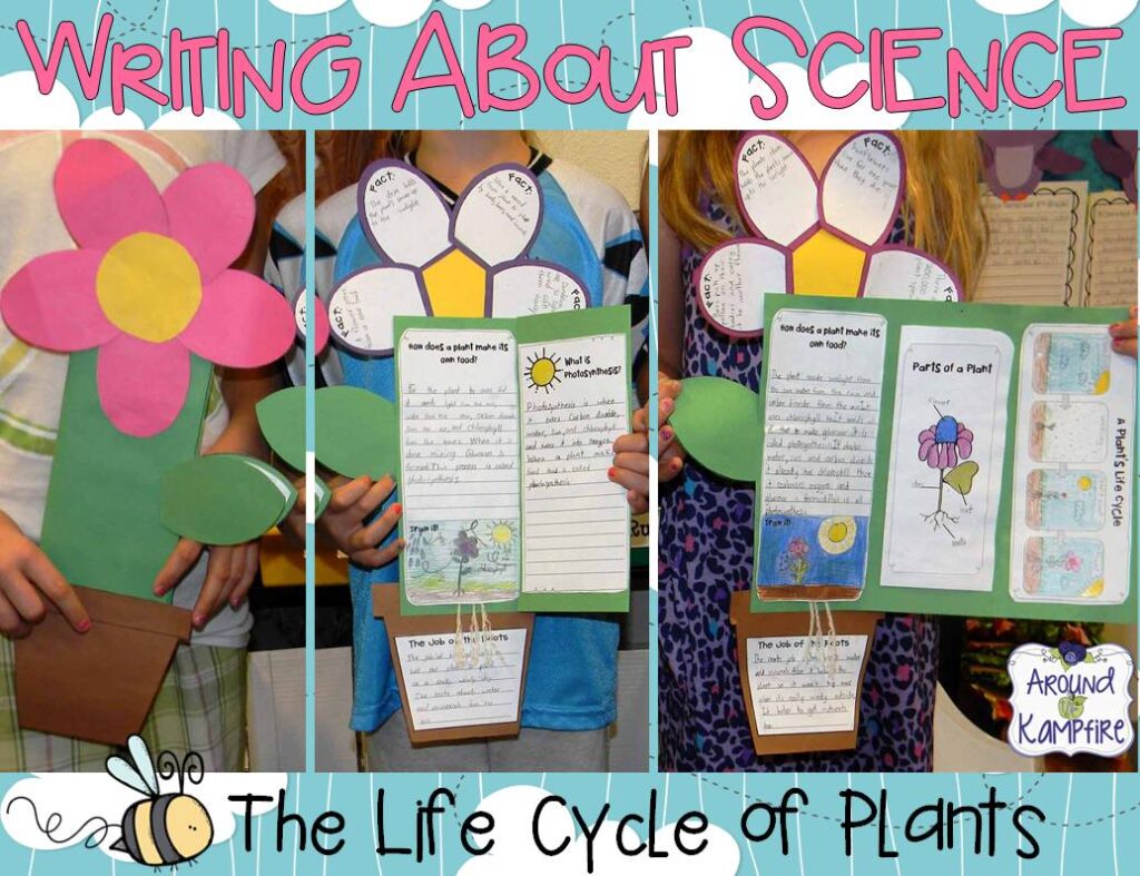 Plant life cycle writing foldable flower booklet
