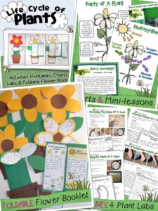 Life cycle of plants: A complete unit with minilessons, labs, and culminating foldable flower booklet.