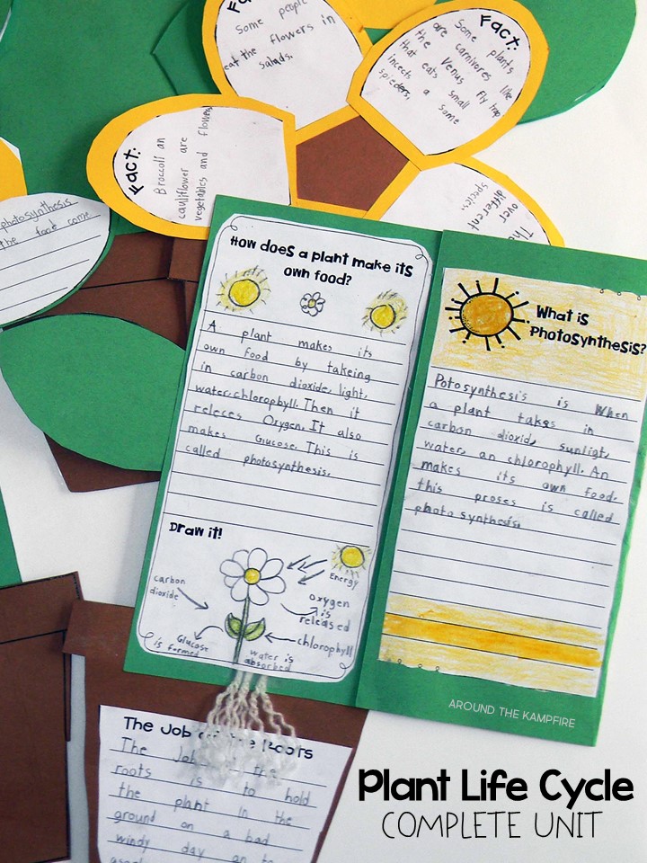 Plant life cycle activities-A complete science unit for teaching about plants for 1st, 2nd, and 3rd grade students. Such a fun way to get kids writing about science!