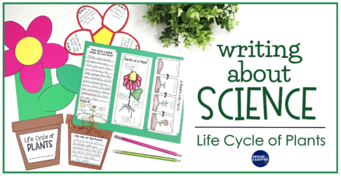 Plant life cycle activities-Creative ways to get kids writing about science