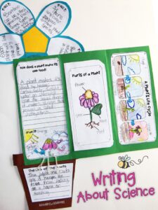 Plant life cycle activities-Writing about science in foldable flower lapbooks. Part of a complete science unit for teaching about plants for 1st, 2nd, and 3rd grade.