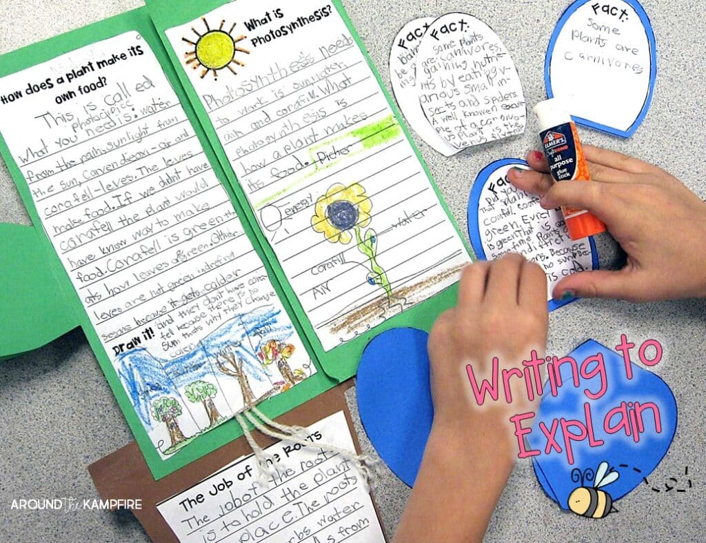 Plant life cycle activities-Writing to define, label, research, and explain. Part of a complete science unit for teaching the plant life cycle for 1st, 2nd, and 3rd grade.