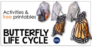 Butterfly life cycle activities and science experiments for kids with free printables your students will love!
