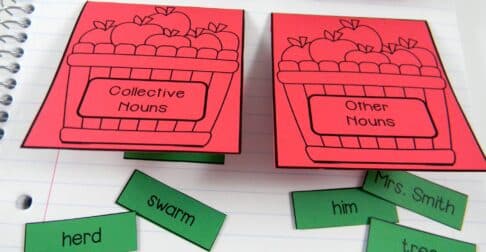 collective nouns interactive notebook