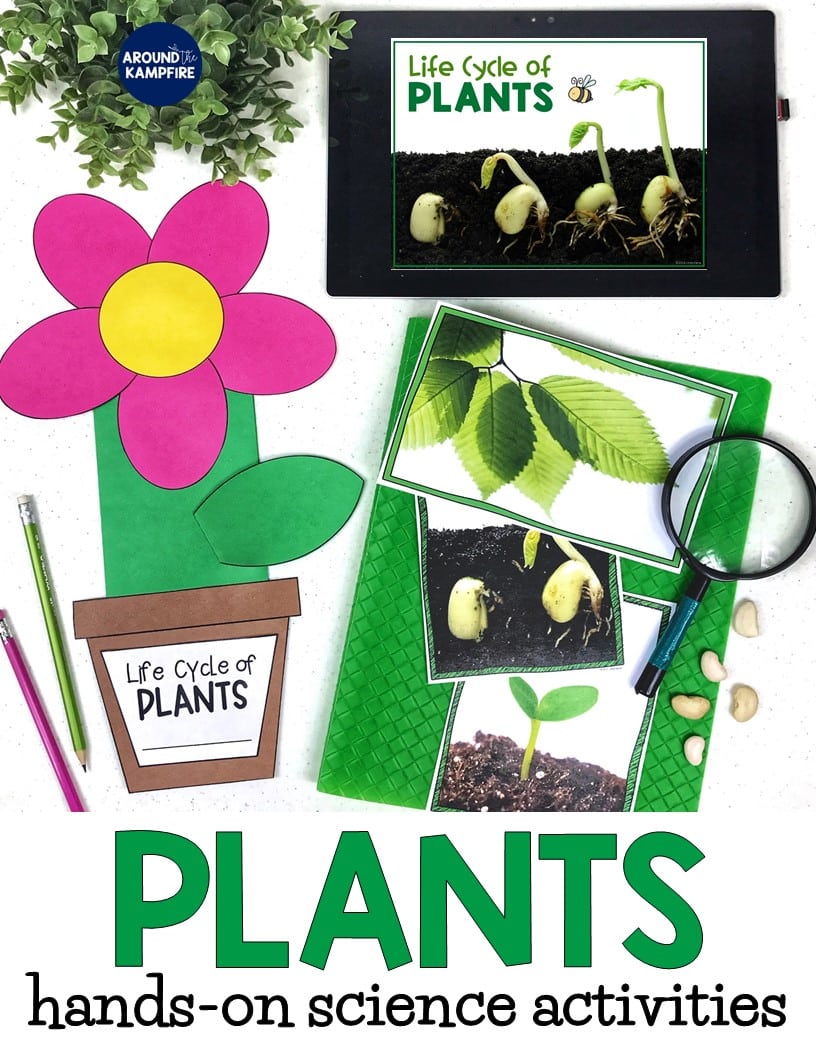 Discovering Plants • 20 Science Activity Cards • Early Years 