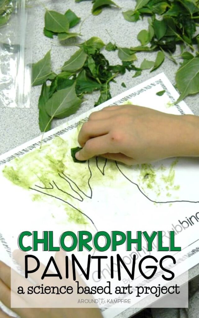 Chlorophyll paintings for kids are a great way to integrate art into your plant science activities as students learn about photosynthesis and the life cycle of plants.