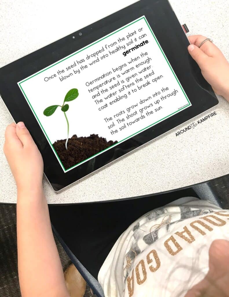 Easy seed science experiments for kids-Parts of a seed, seed dissection, and germination activities with lesson ideas for 1st, 2nd, and 3rd grade students learning about the life cycle of plants and how seeds grow.