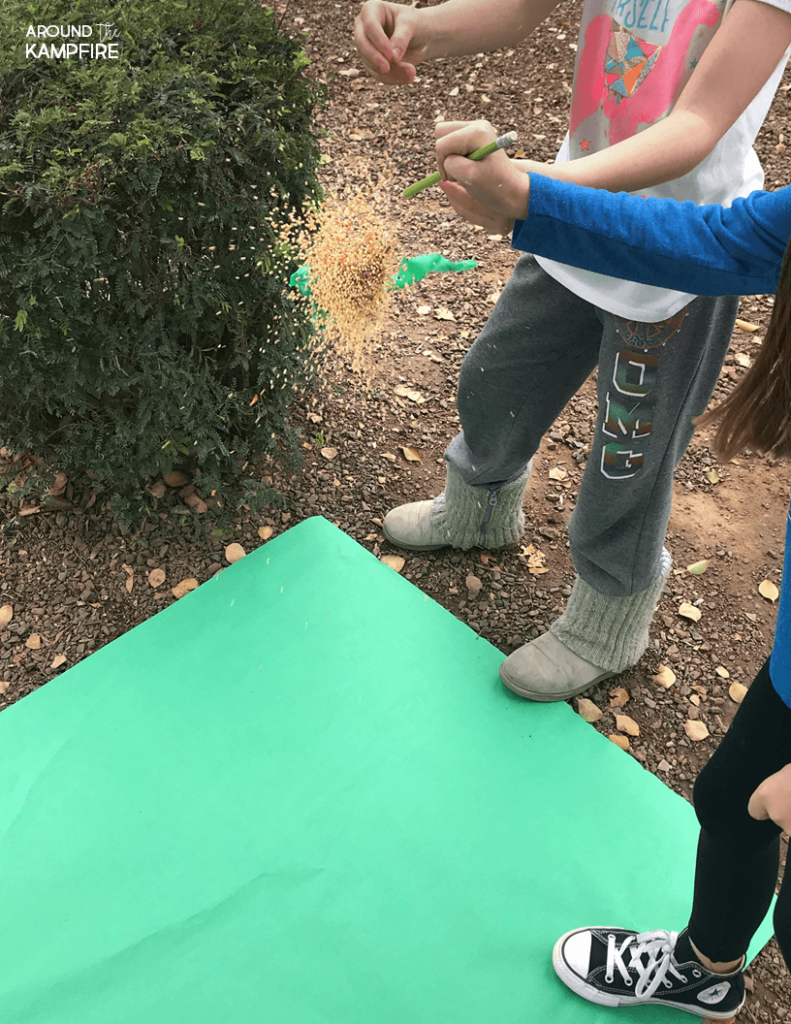 Seed dispersal activity- A fun science experiment for 1st, 2nd, and 3rd graders to learn about exploding seed pods while studying the plant life cycle.
