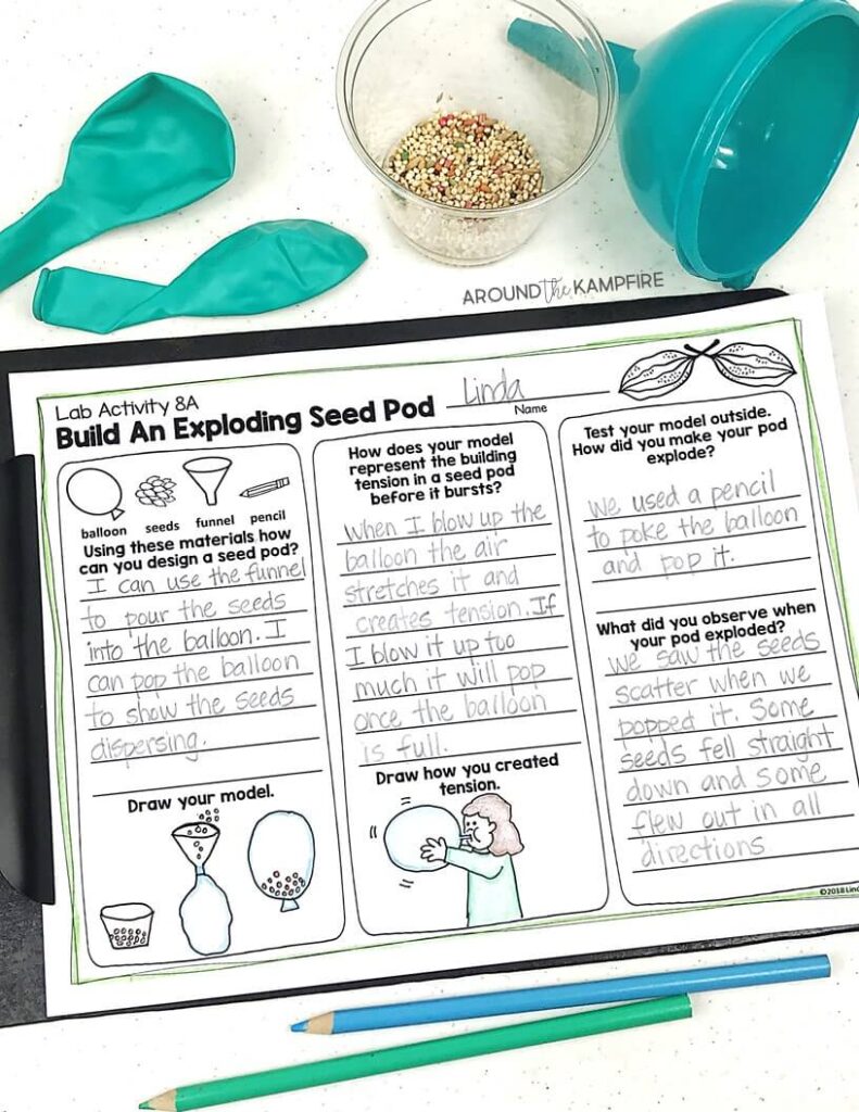 Seed dispersal activity- A fun science experiment for 1st, 2nd, and 3rd graders to build a model and learn about exploding seed pods while studying the plant life cycle.
