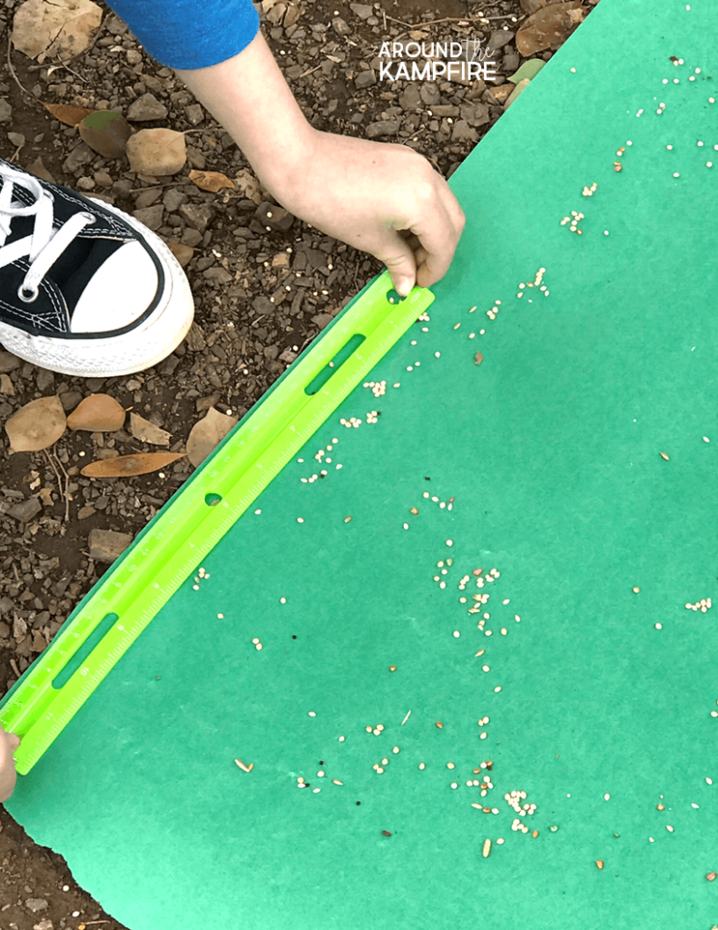 Seed dispersal activity- A fun science experiment for 1st, 2nd, and 3rd graders to learn about exploding seed pods while studying the plant life cycle. Students build a model and measure the area the seeds traveled.