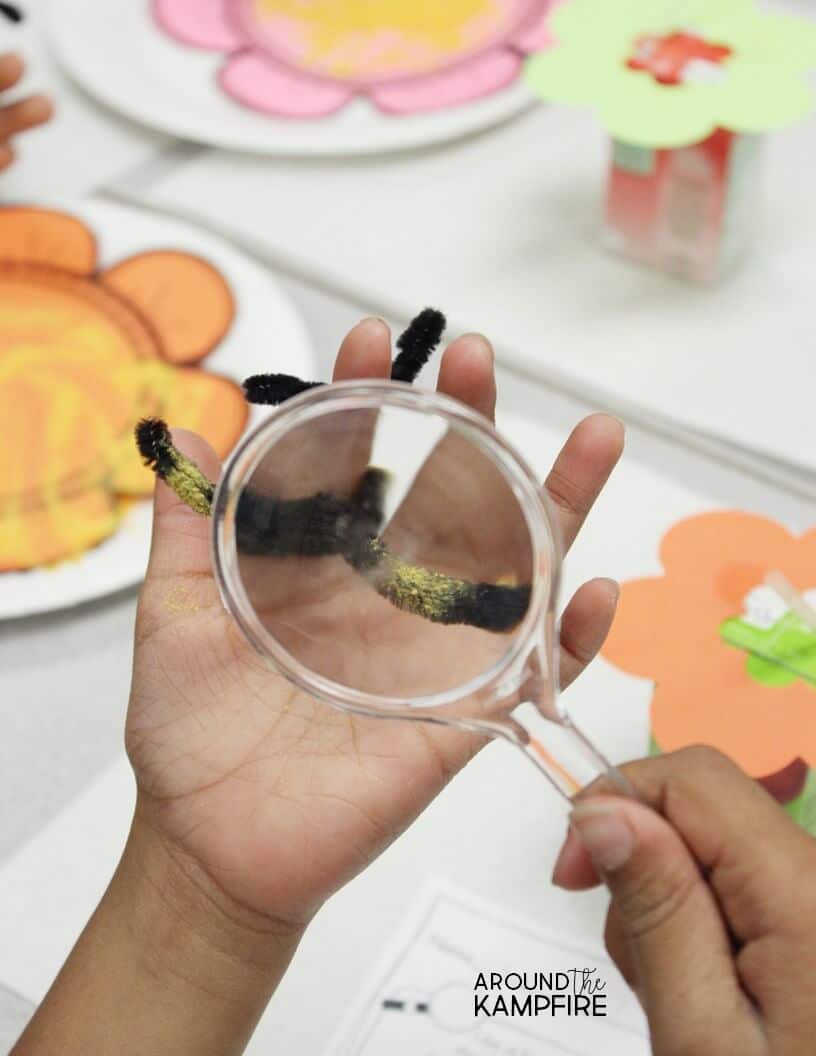 Cheese Powder Pollination Activity for Kids - Around the Kampfire