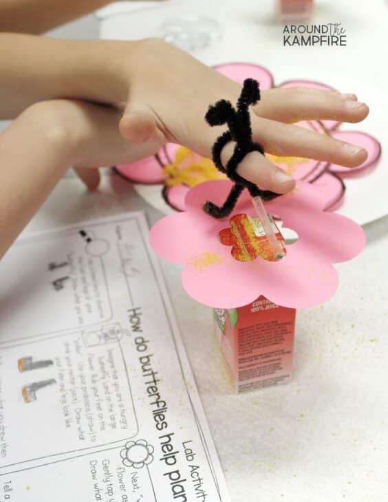 Cheese Powder Pollination Activity for Kids - Around the Kampfire