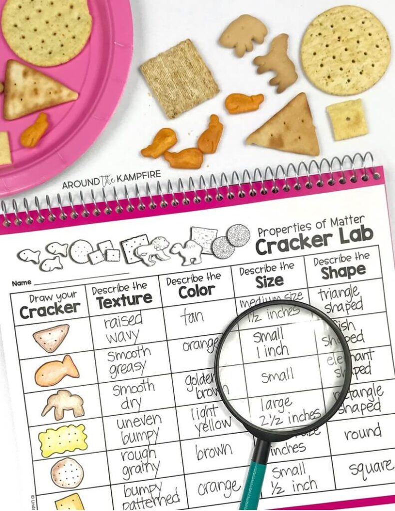 Easy cracker lab properties of matter activity for students learning to observe and describe matter. Ideal for 2nd grade science and aligned to Structure and Properties of Matter NGSS standards. #2ndgrade #scienceactivities #ngss
