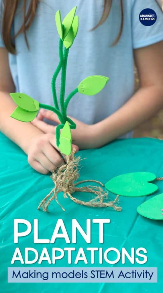 Plant STEM Activities for kids making models 2nd grade science