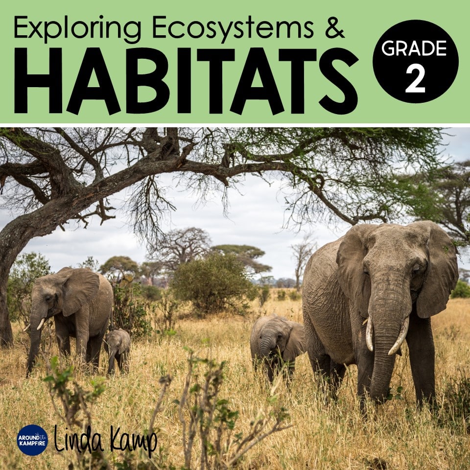 Habitats & Ecosystems Science Unit for 2nd Grade Science