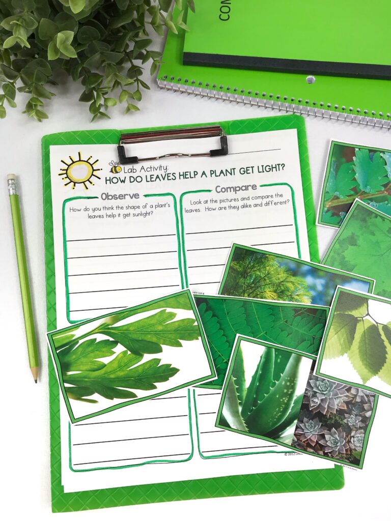 Plant needs science activity student worksheet