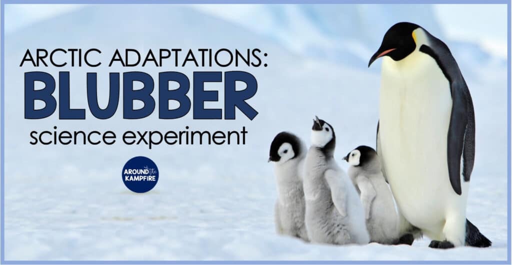 Arctic Animal Adaptations Blubber Science Experiment for Kids