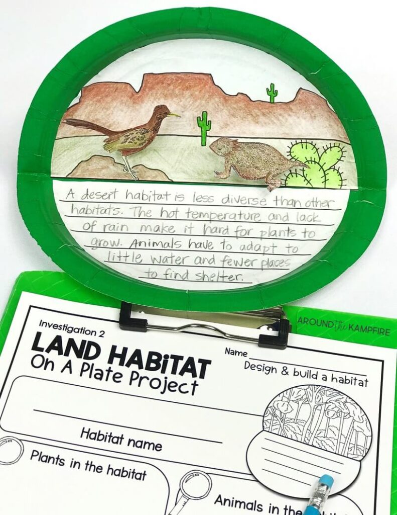habitats activities for 2nd grade science animal desert diorama