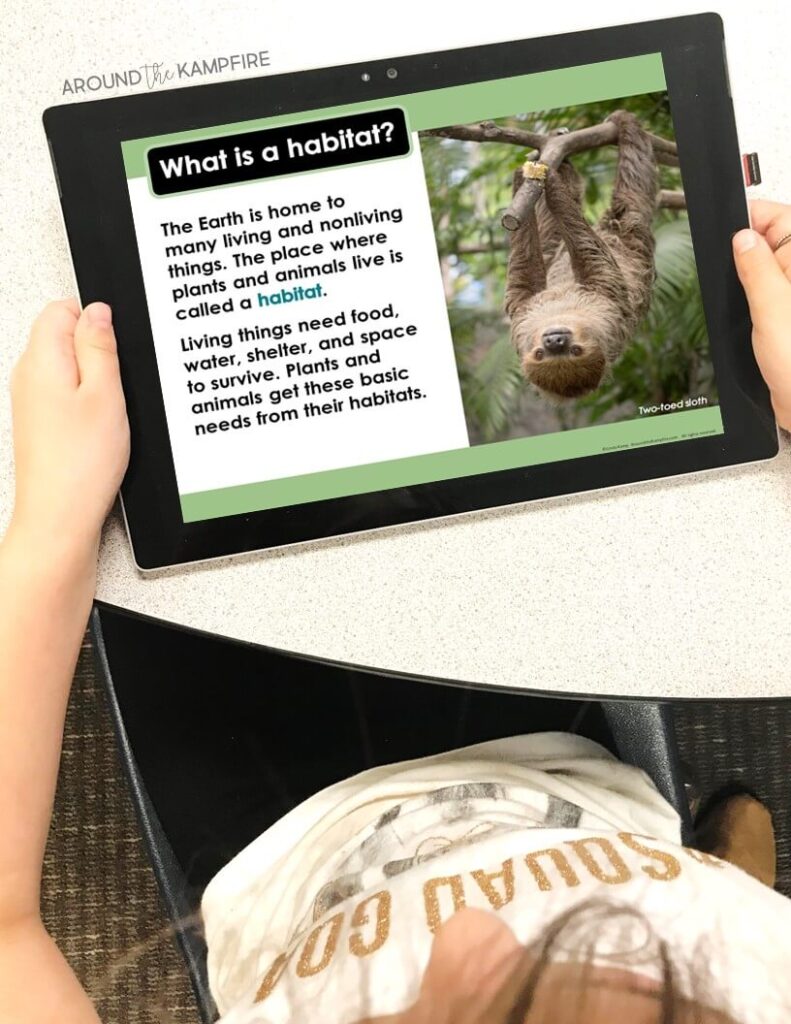 Habitats activities for second grade PowerPoint lesson