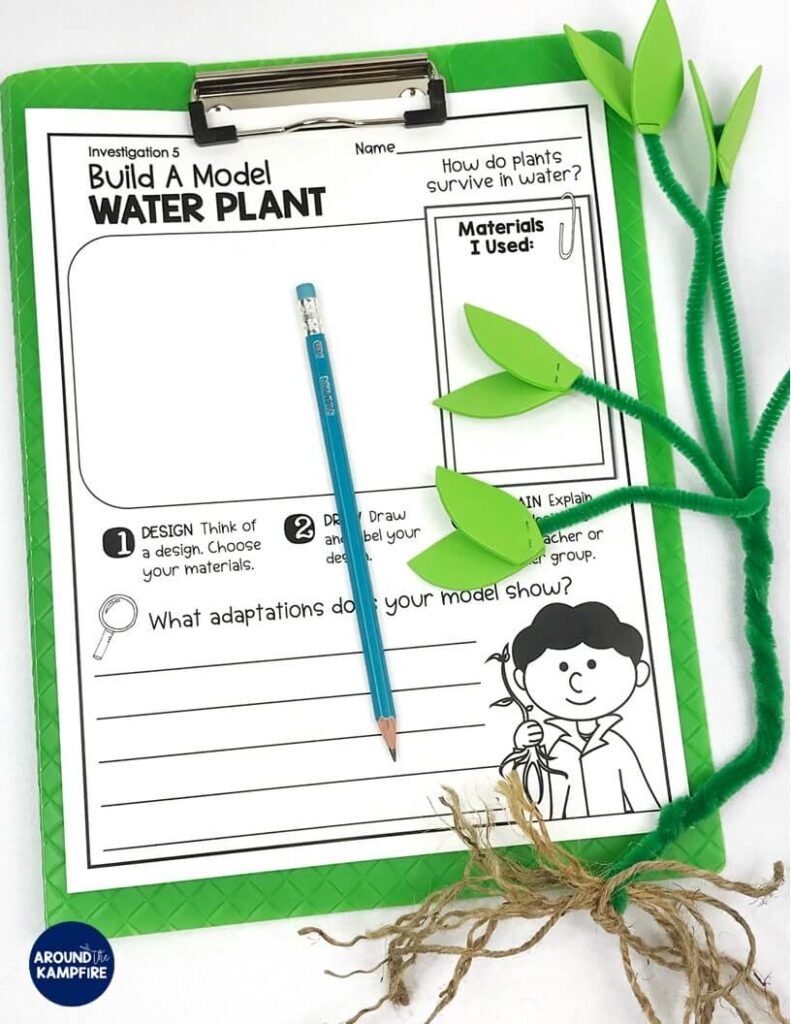 Plant STEM Activity water plant model student lab sheet