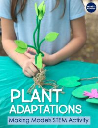 Plant STEM Activities for Kids: Making Models of Adaptations