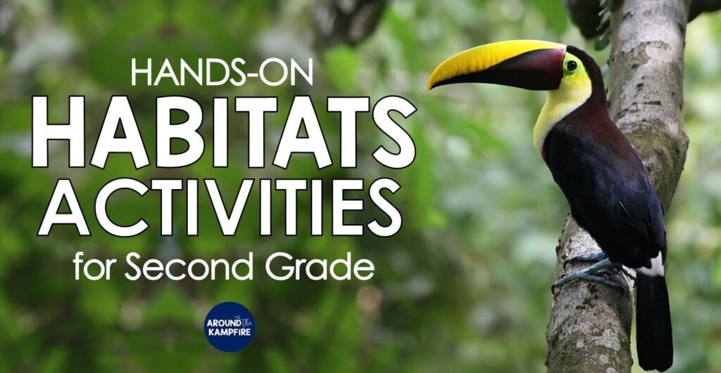 Habitats activities for second grade