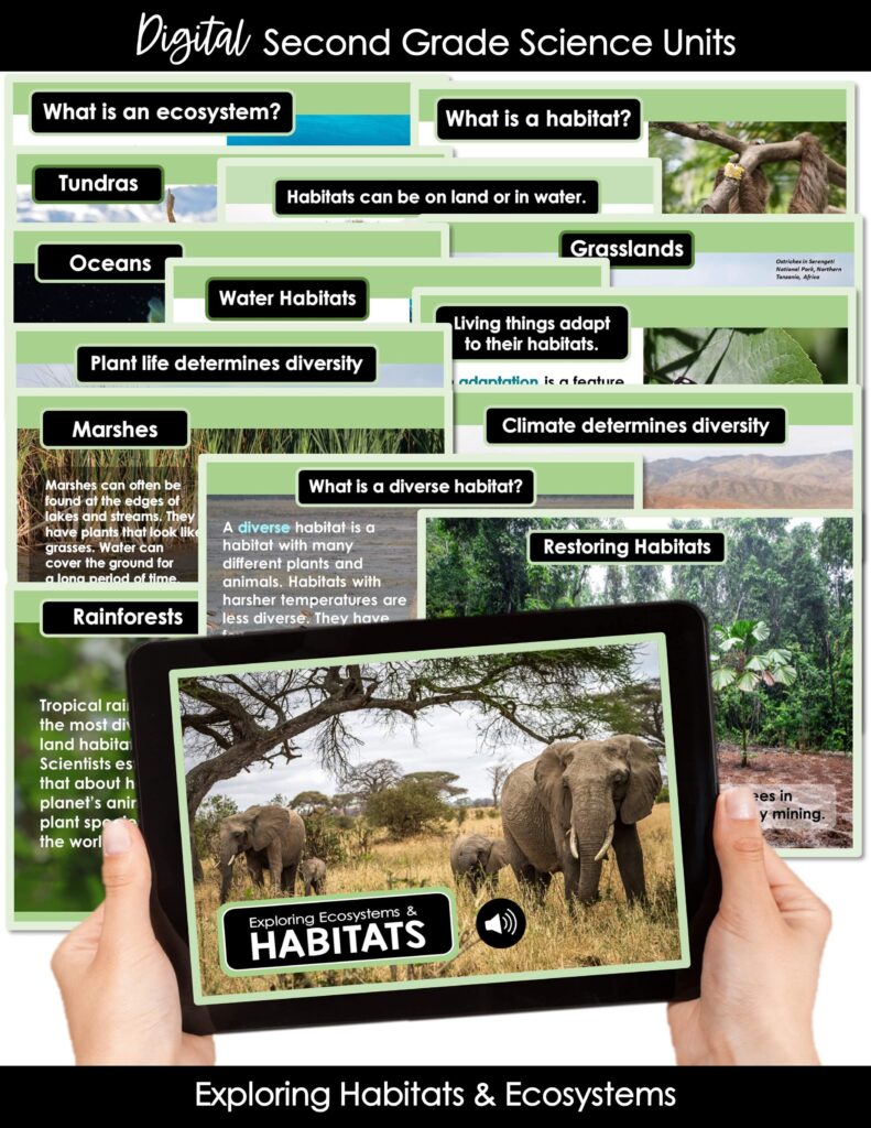 digital science lessons for 2nd grade distance learning habitats and ecosystems activities