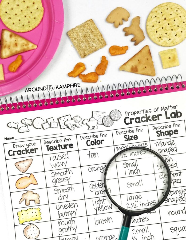 Properties of matter science activity with crackers