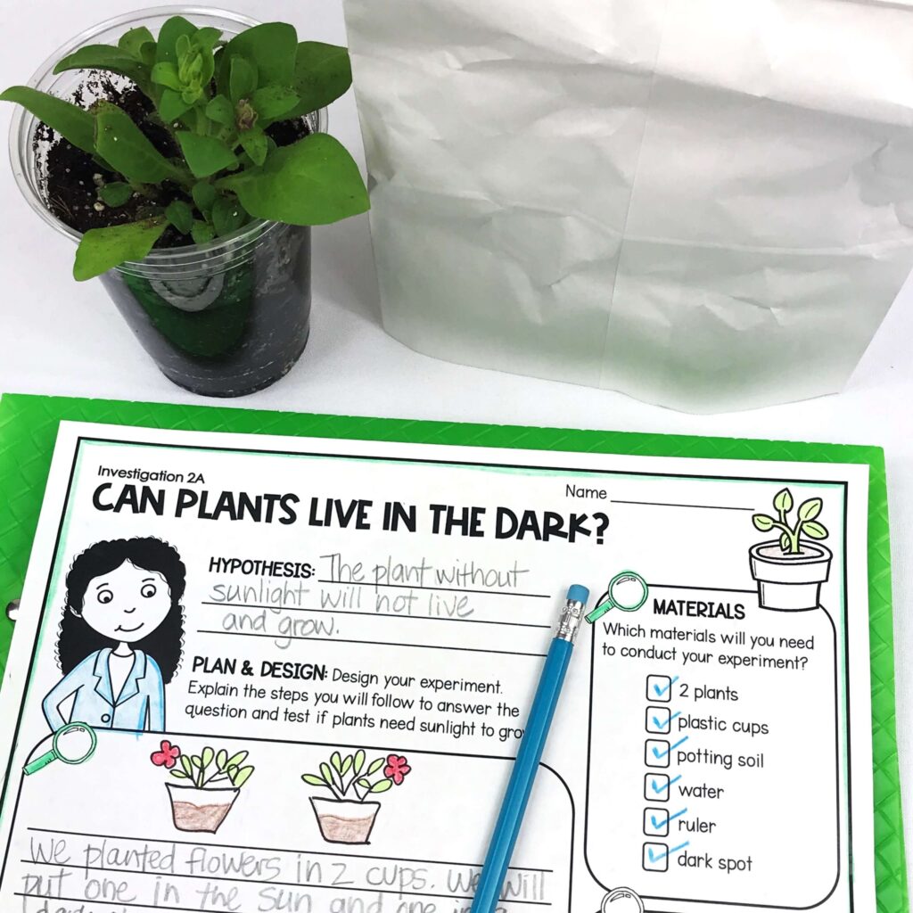 Plant and Animal Interdependence Activities for 2nd Grade