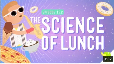 the science of lunch properties of matter