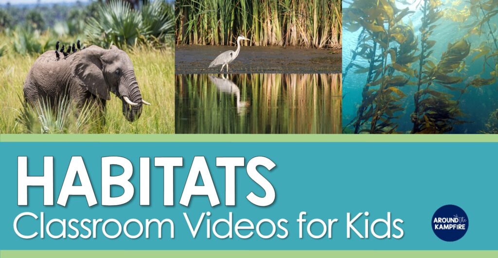 list of videos about habitats and ecosystems