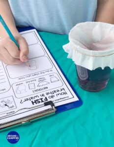 How Do Fish Breathe Underwater? Ocean Animal Adaptations Activity ...