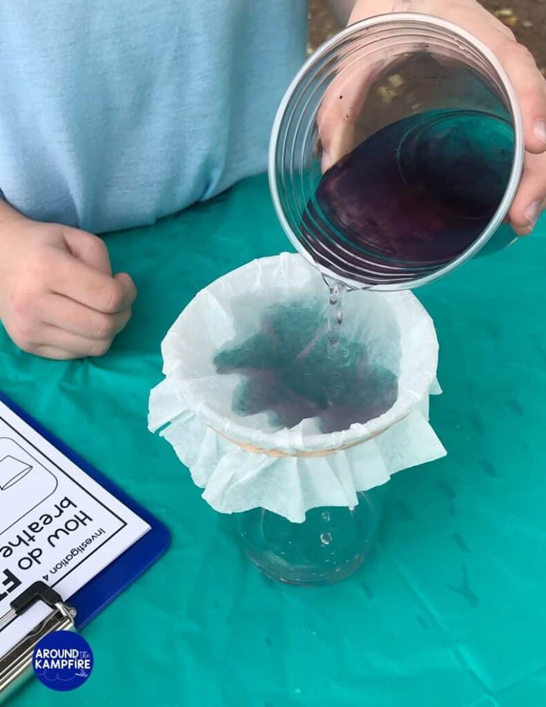 Ocean animal fish adaptation science experiment to show how fish breathe underwater.