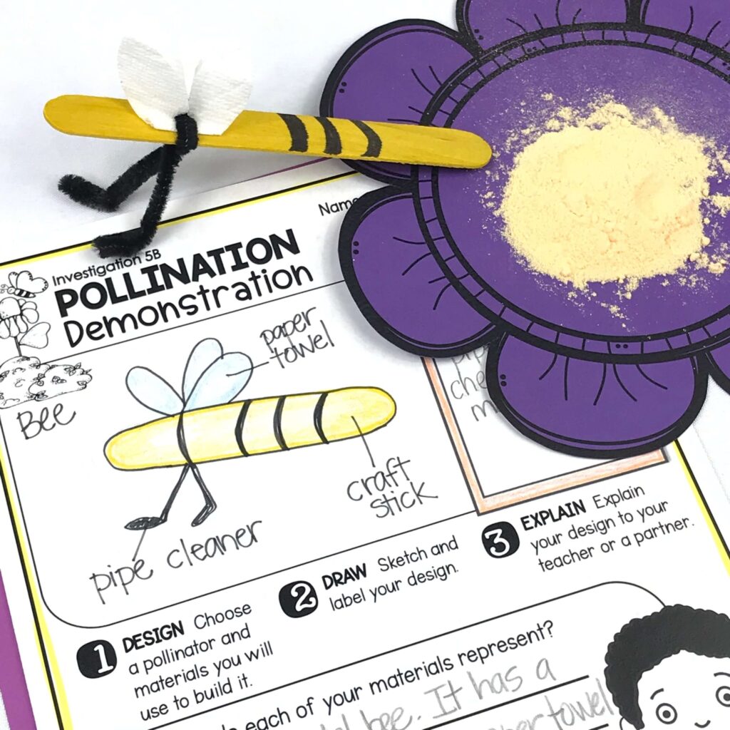 craft stick bee model and diagram for pollination STEM activity