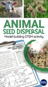 How to article about a STEM project for kids to make models showing seed dispersal by seeds attaching to an animal's fur.