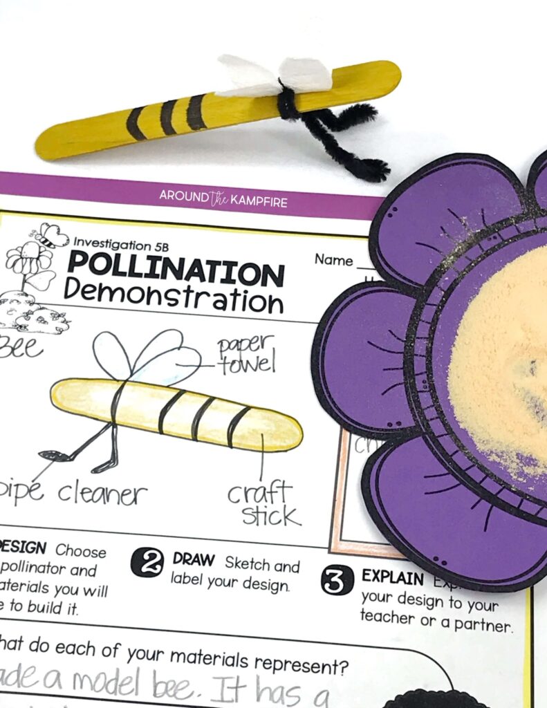 craft stick bee model and diagram for pollination STEM activity