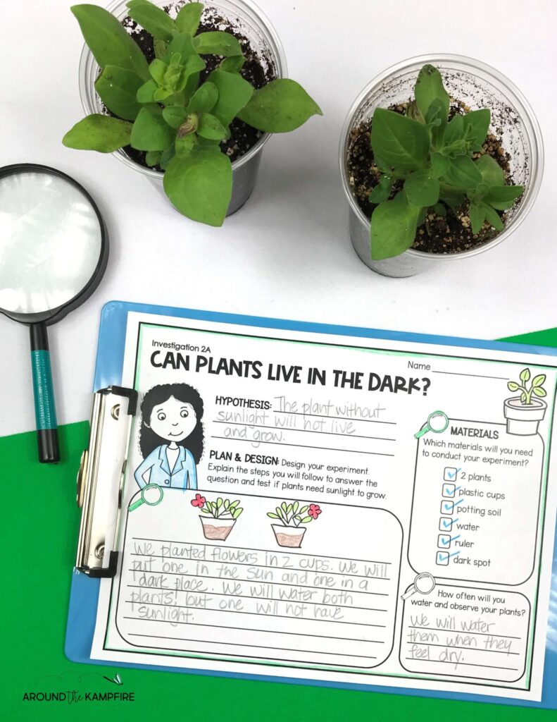 plants and lab sheet for a plant needs science experiment