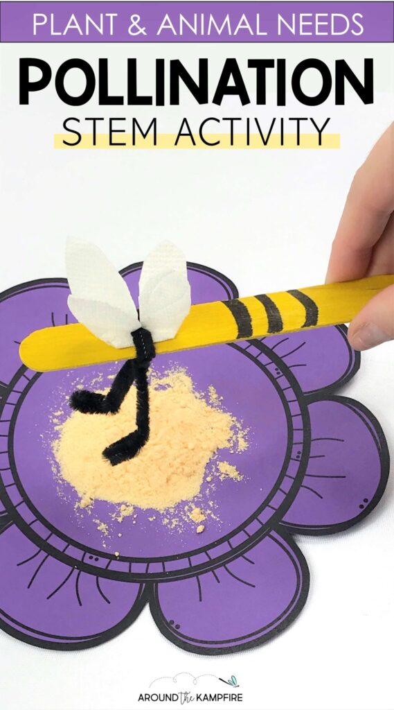 craft stick bee model for pollination STEM activity