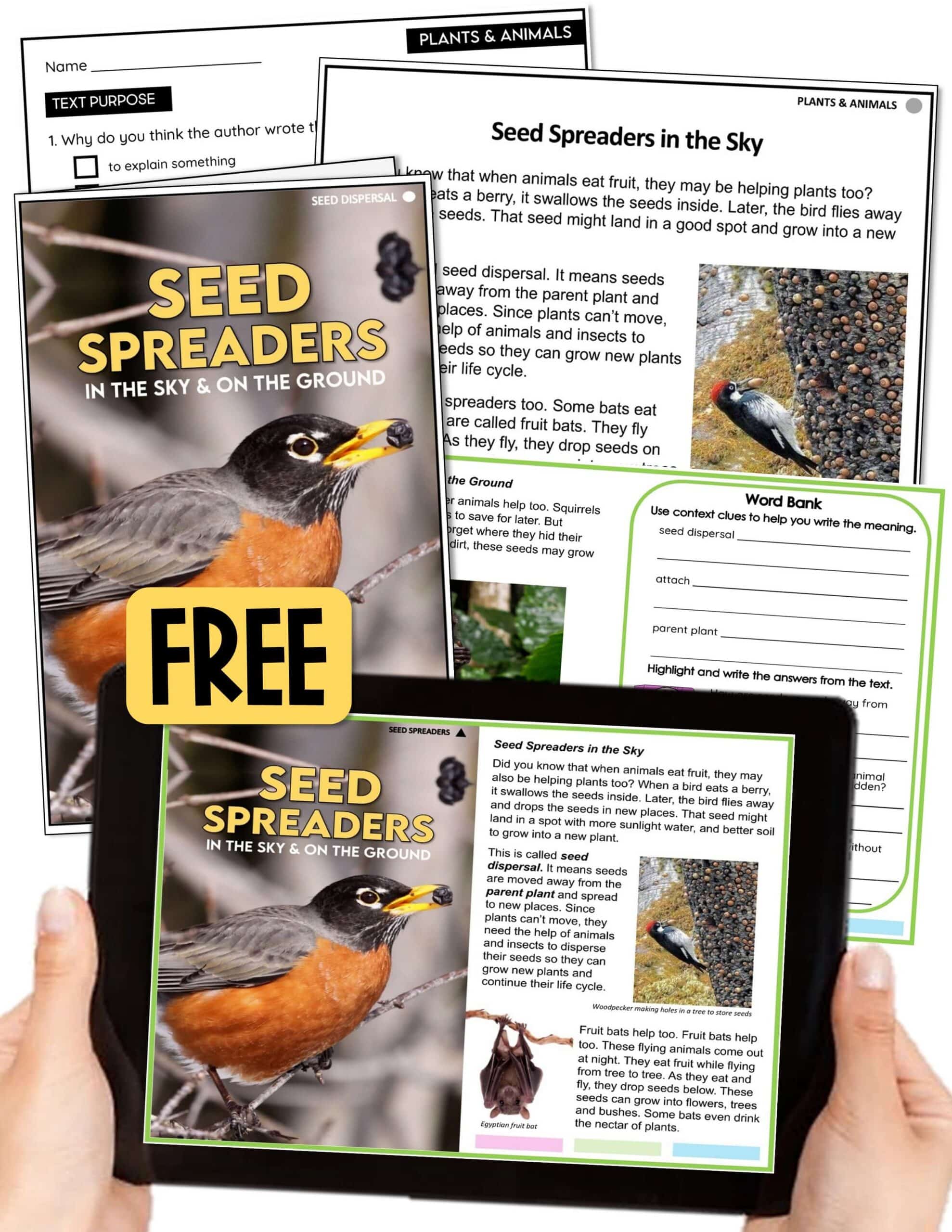 Free Reading Passages