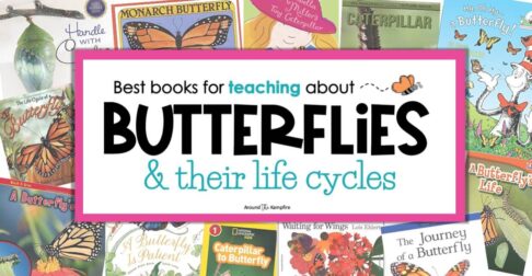 butterfly life cycle books for kids