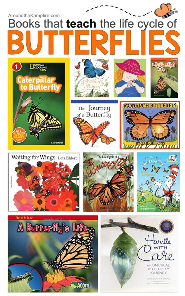 butterfly books for kids