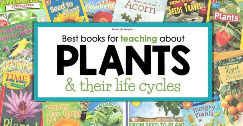 plant life cycle books for kids