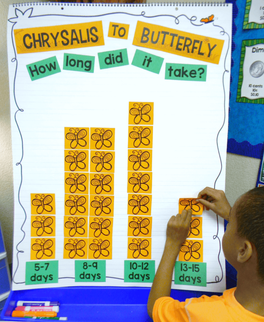 Butterfly life cycle graphing activity