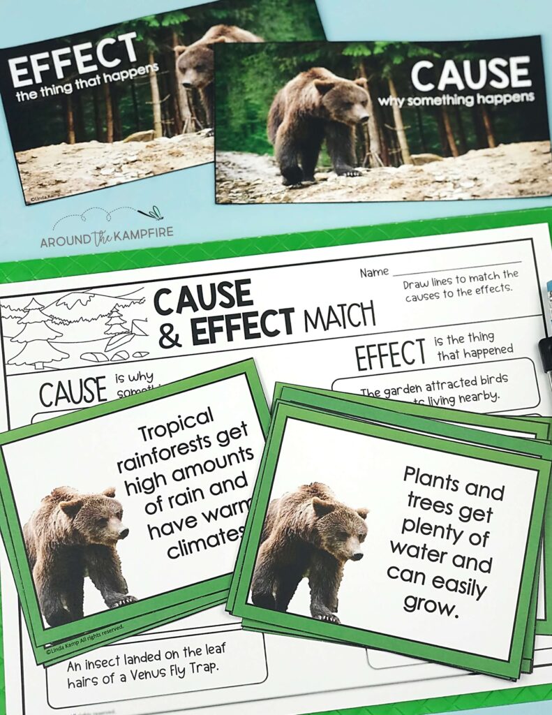 Habitats science activity on cause and effect