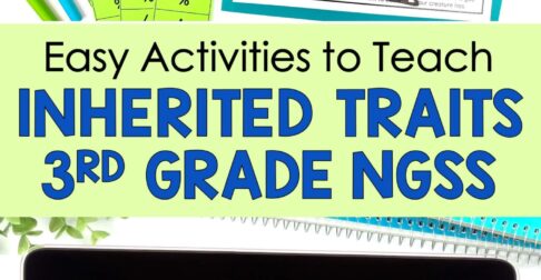 blog featuring 10 inherited traits activities for 3rd grade